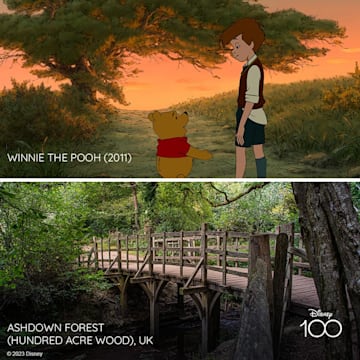 Winnie the Pooh (2011) / Ashdown Forest (Bosque de los Cien Acres) en Reino Unido 